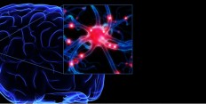 Neuro Coaching